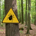Le printemps commence et attire à nouveau de nombreuses personnes à l'extérieur, dans la nature. Chacun a envie de profiter des premiers rayons de soleil, il fait de plus en plus chaud et on ne pense pas forcément à un danger qui pourrait se cacher dans l