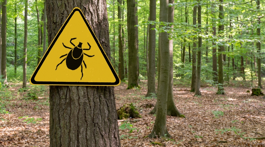 Le printemps commence et attire à nouveau de nombreuses personnes à l'extérieur, dans la nature. Chacun a envie de profiter des premiers rayons de soleil, il fait de plus en plus chaud et on ne pense pas forcément à un danger qui pourrait se cacher dans l